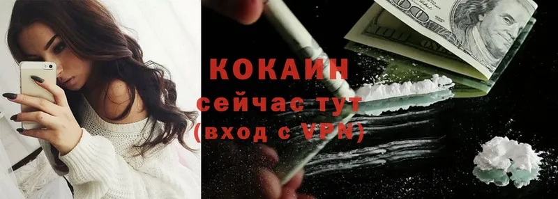 цена   Курильск  COCAIN FishScale 